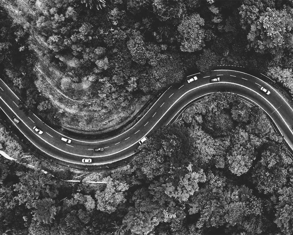 Basico Dit Roadmap Fra Opstart Til Aarsrapport