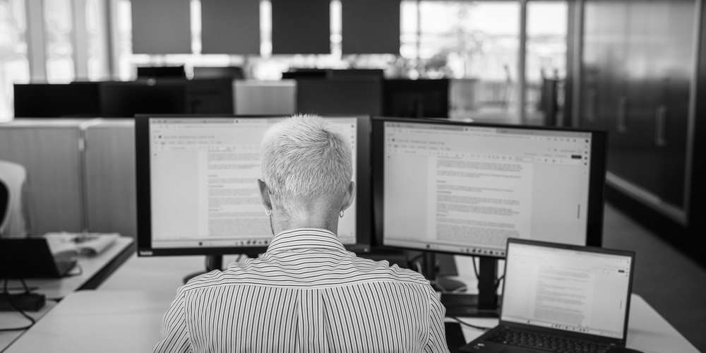 Basico Erp Implementering