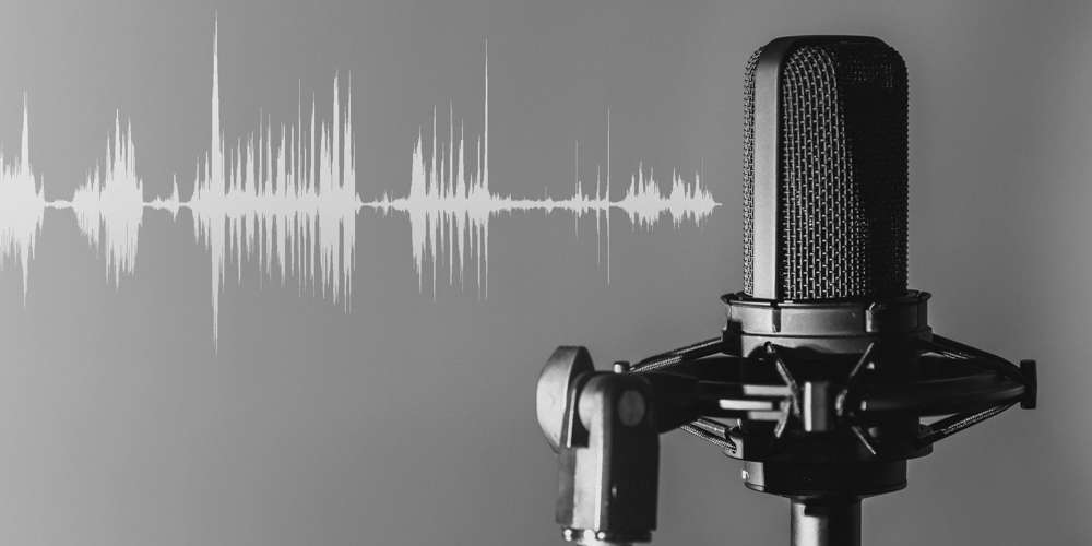 Basico Beyond Business Support