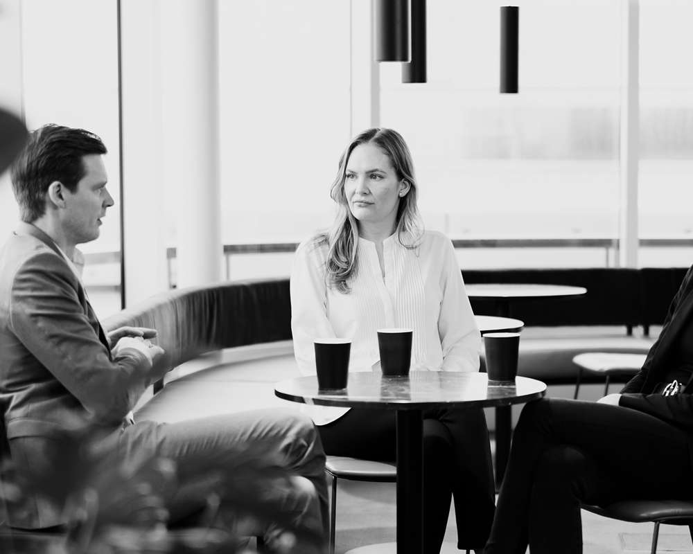 Basico Esg Er En Tvaerfaglig Disciplin Men Hvad Er Cfoens Rolle
