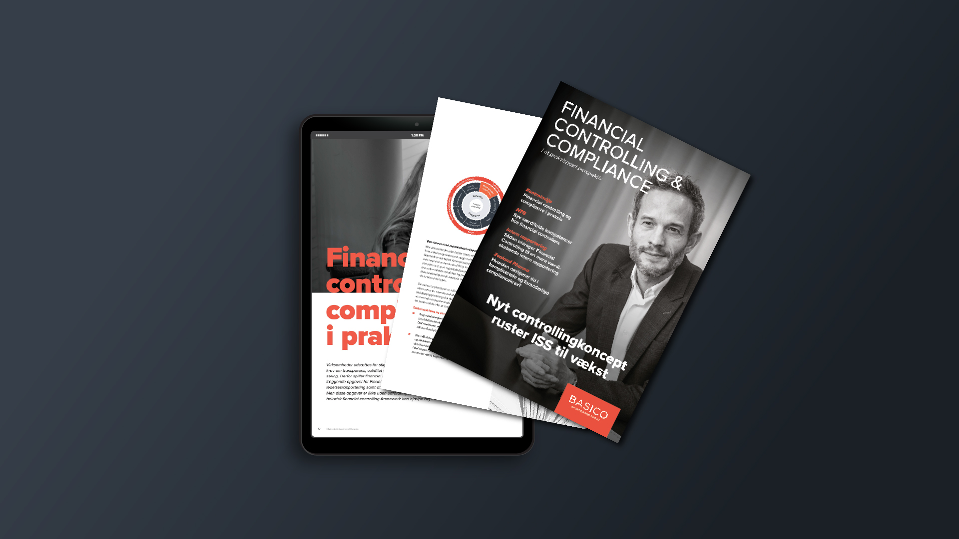 Basico Financial Controlling And Compliance