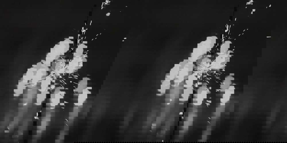 Basico Rekruttering Betydning